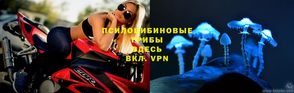 дмт Богородицк