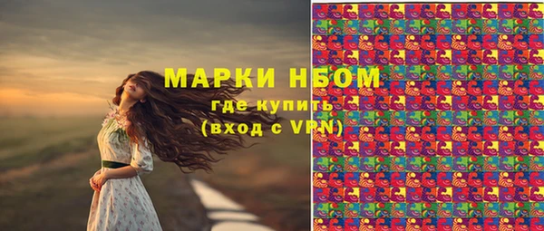 дмт Богородицк