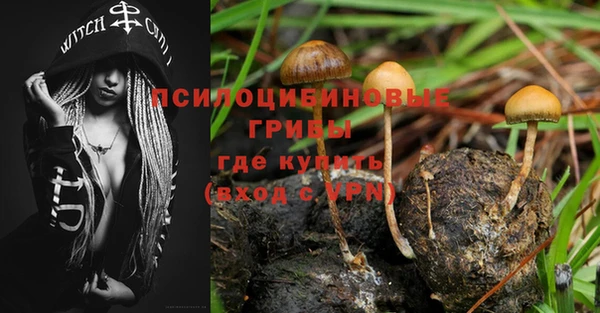 мяу мяу кристалл Богданович